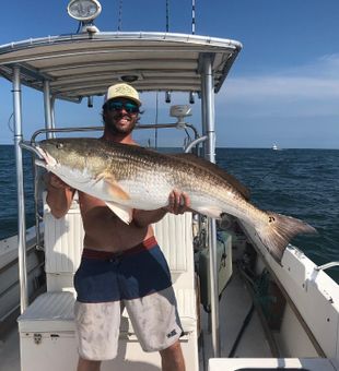 Red Drum Delight! 